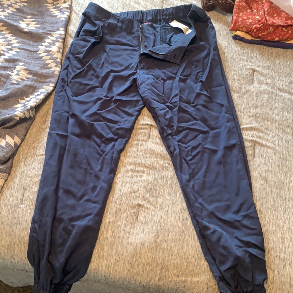 Patagonia edge win joggers. Blue